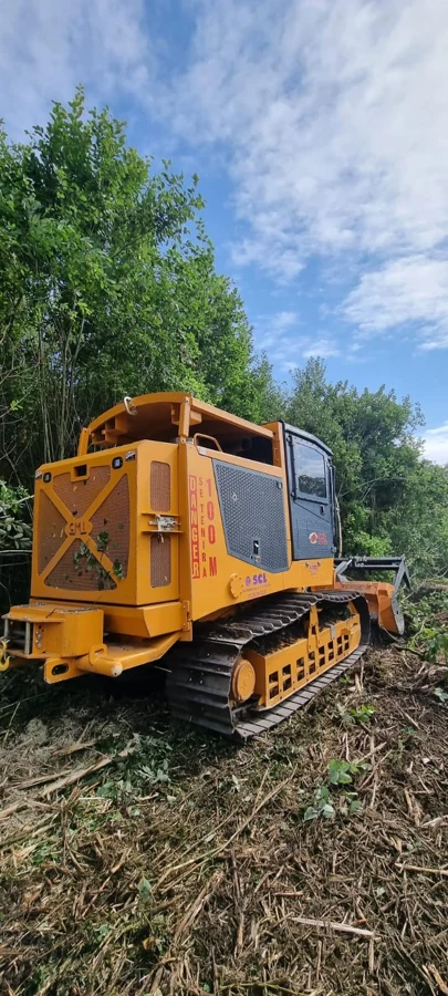 Broyage forestier pour la Ville de Tournai