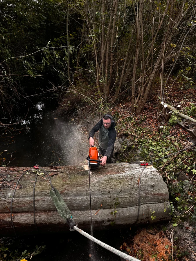 Dégagement du tronc d’un arbre tombé au-dessus d’un cours d’eau