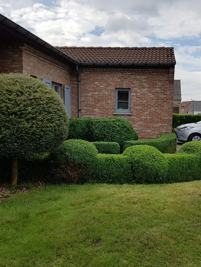 Entretien et création de jardin