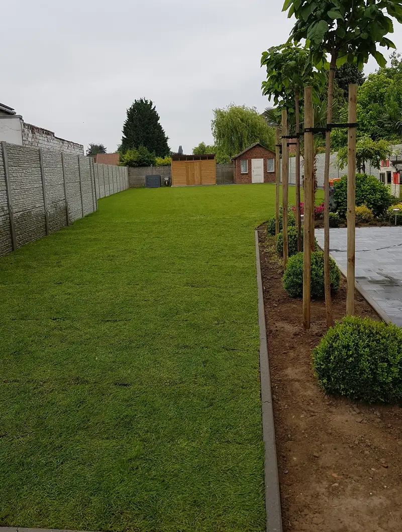 Entretien et création de jardin