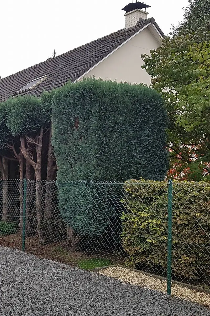 Entretien de votre jardin