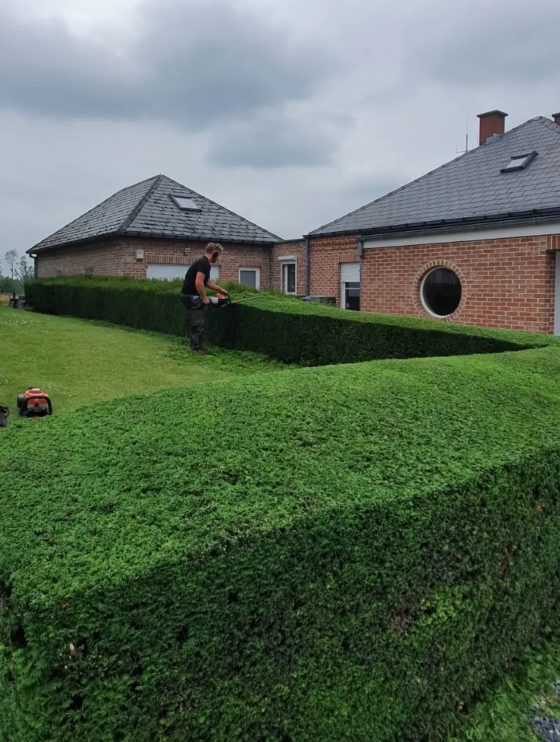 Entretien de votre jardin