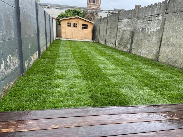 Une pelouse soignée dans un jardin de ville