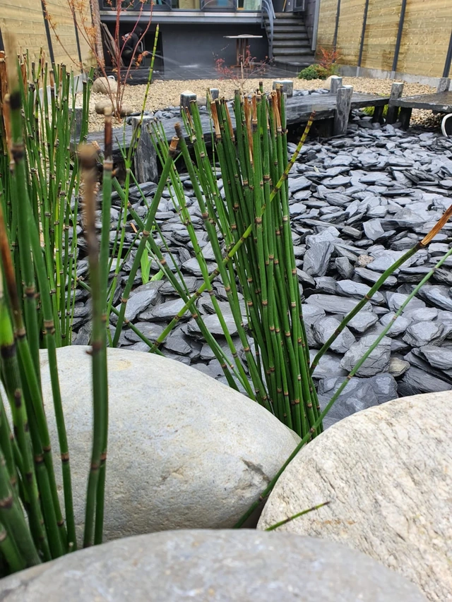 Détail des plantations et des pierres dans le jardin.