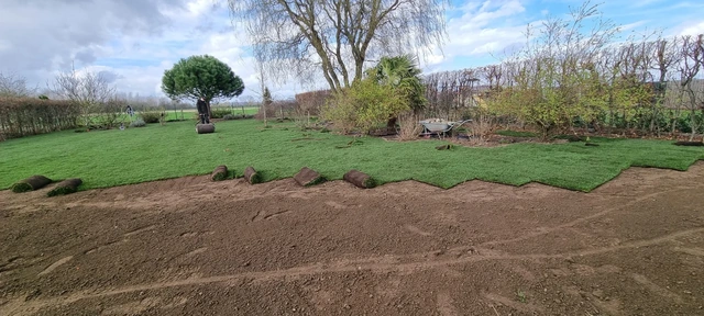 Les rouleaux sont posés progressivement pour couvrir le jardin.