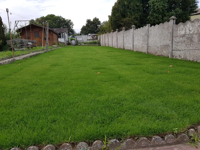 Pelouse en rouleaux réalisée dans un jardin familial à Ligne, dans l’entité d’Ath