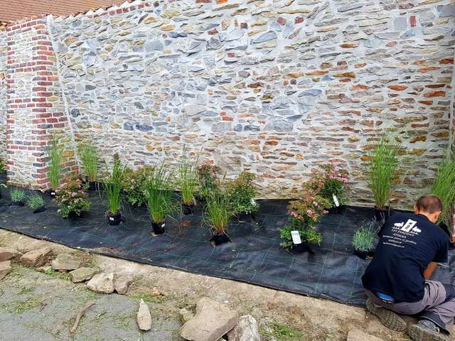 Préparation d’un parterre avec des végétaux en pots et un jardinier au pied d’un mur en pierre
