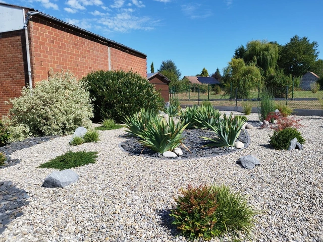 Les arbustes conservés au fond assurent la continuité avec le jardin existant.