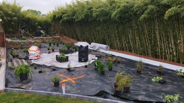 Pendant le chantier : les plantes sont réparties dans les futurs massifs avant les finitions.