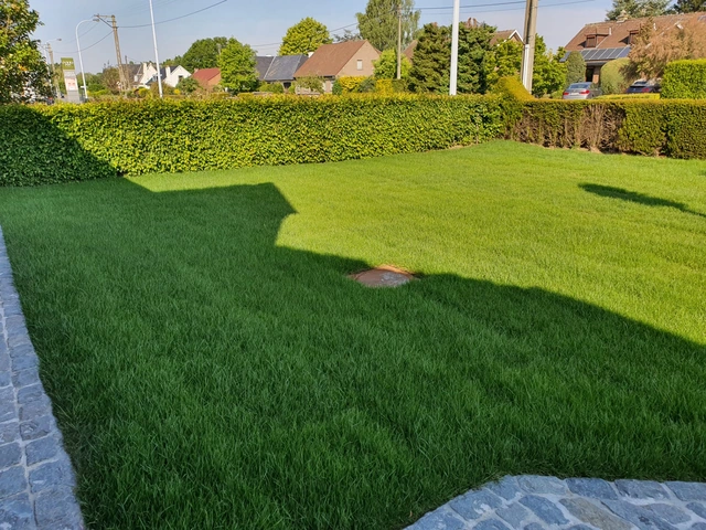 Pelouse bien verte bordée de haies et de pavés dans un jardin