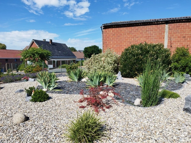 Le petit érable et les plantations ponctuent les surfaces minérales.