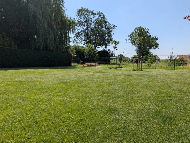 La pelouse semée complète l’aménagement du jardin.