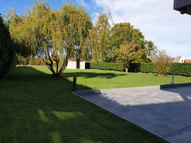 Une pelouse autour de la terrasse