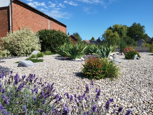 Les lavandes apportent leur floraison au premier plan du jardin.