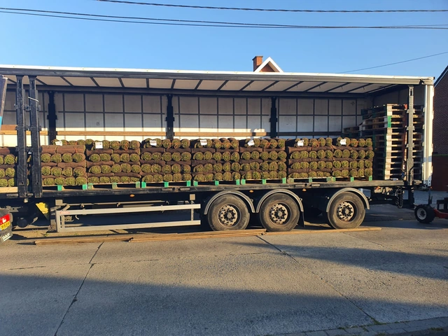Livraison de rouleaux de gazon sur palettes dans un camion