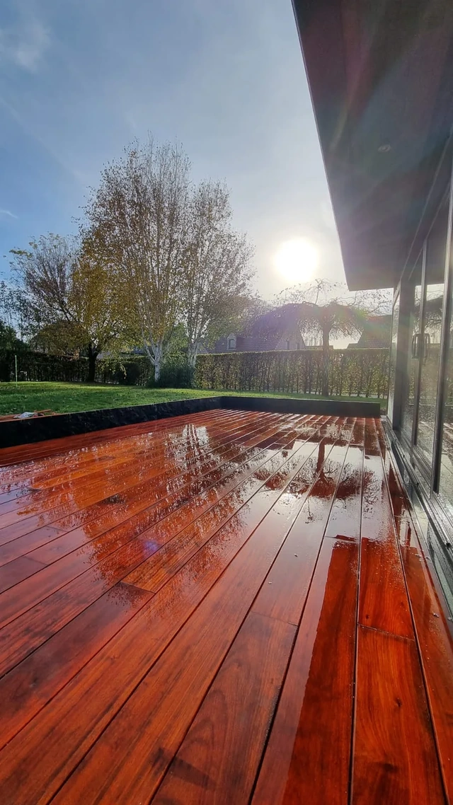Le padouk et ses reflets au pied de la maison.