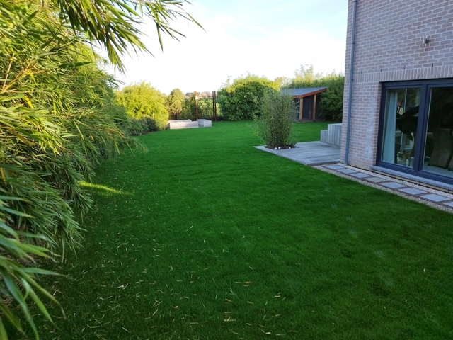 Un tapis vert le long de la maison
