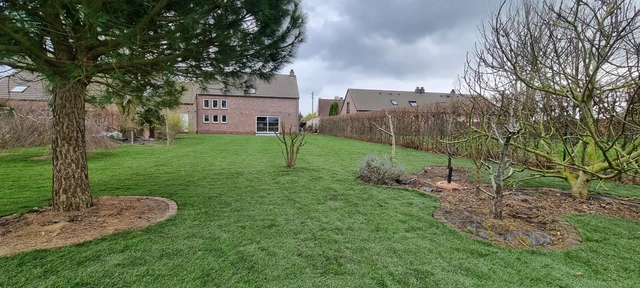 Le gazon épouse les contours des arbres et des plantations existantes.