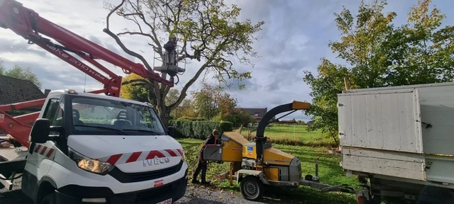 Broyage au fil du chantier