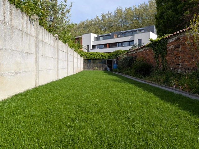 Pelouse réalisée dans un jardin enclavé au centre-ville d’Ath