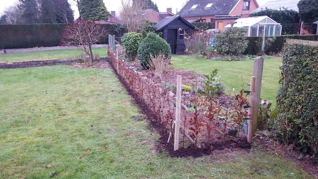 Une haie pour structurer le jardin