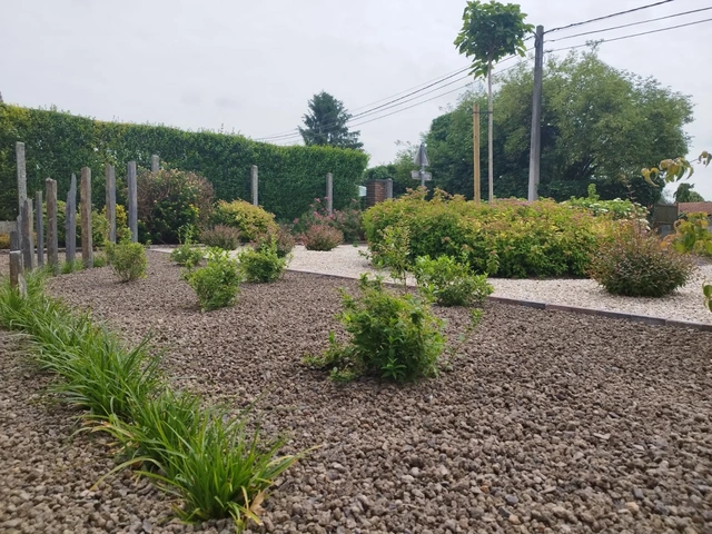 Les plantations réparties dans le paillage minéral.