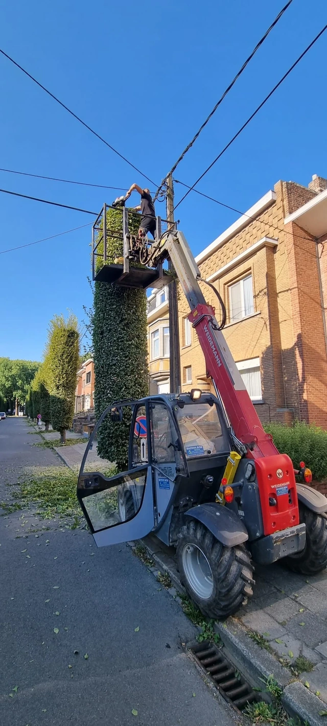 Taille en hauteur avec une nacelle lors d’un entretien d’espaces verts