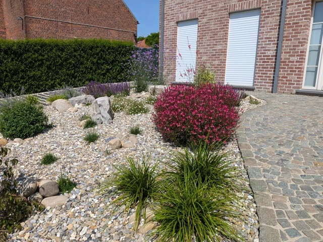 Les carex et les plantations près de la façade.