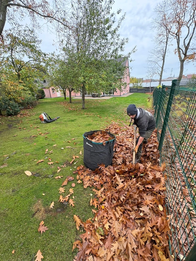 Un jardinier ramasse les feuilles mortes le long d’une clôture