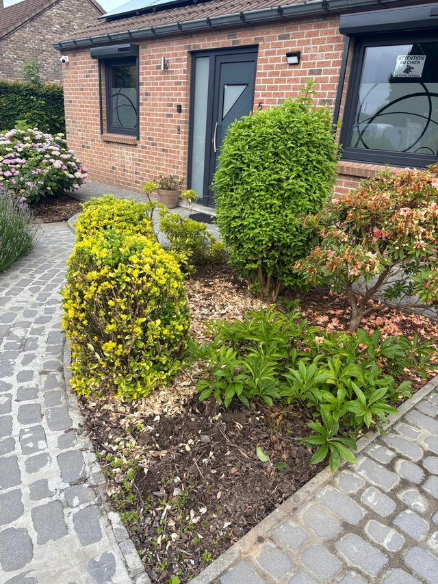 Avant la rénovation : les plantations avaient pris beaucoup de volume.
