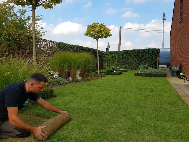 Pose des rouleaux de gazon dans un jardin