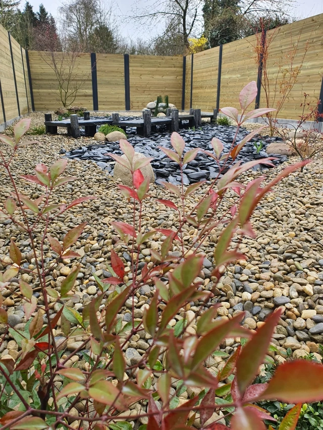 Les plantations apportent de la vie au jardin entouré de clôtures.