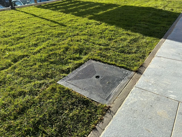 La pelouse en rouleaux rejoint les cheminements le long du bâtiment.