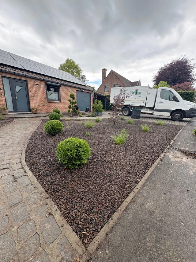 Les ilex en boule ponctuent les massifs renouvelés.
