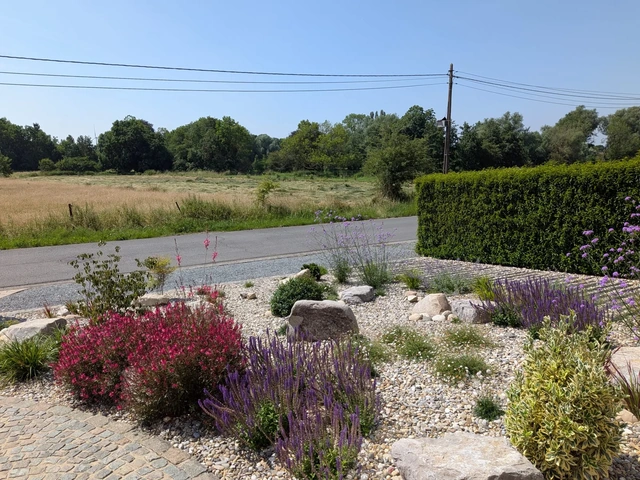 Les floraisons animent le parterre minéral.
