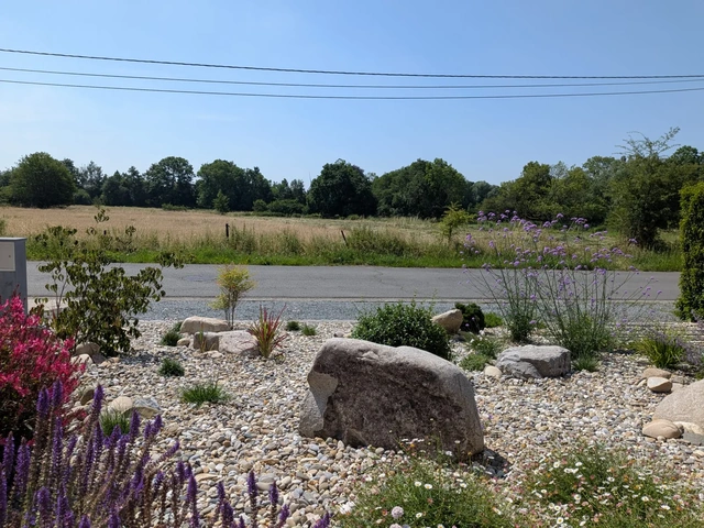 Les grands blocs décoratifs parmi les pierres arrondies et les plantations.