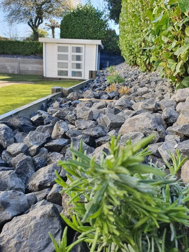 Détail des pierres et des feuillages dans la rocaille.