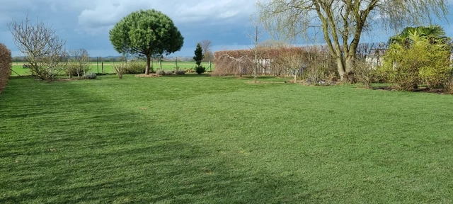 La pelouse en rouleaux donne au jardin une nouvelle unité.