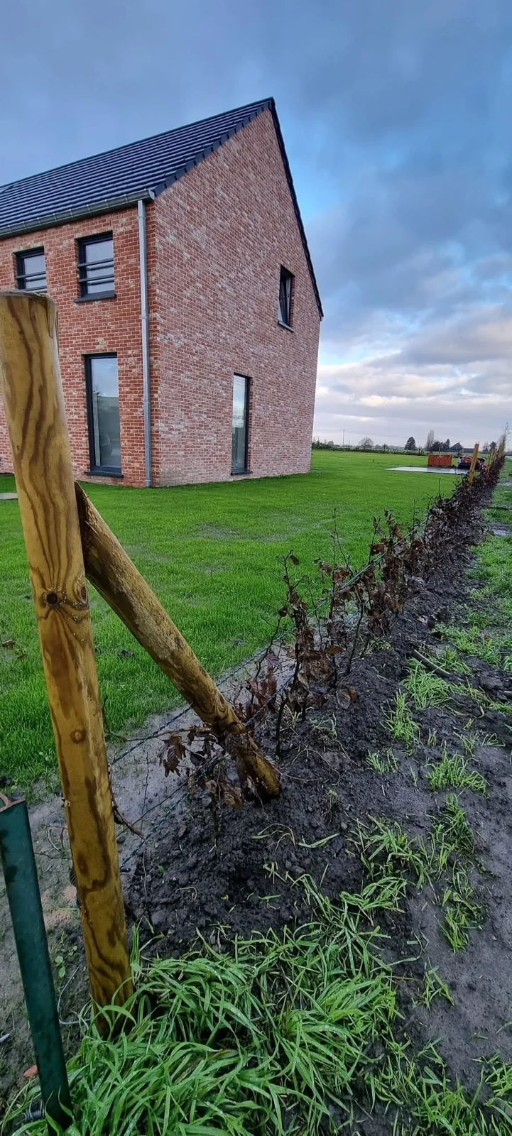 Le terrain terrassé, la pelouse semée et les jeunes haies organisent le jardin.