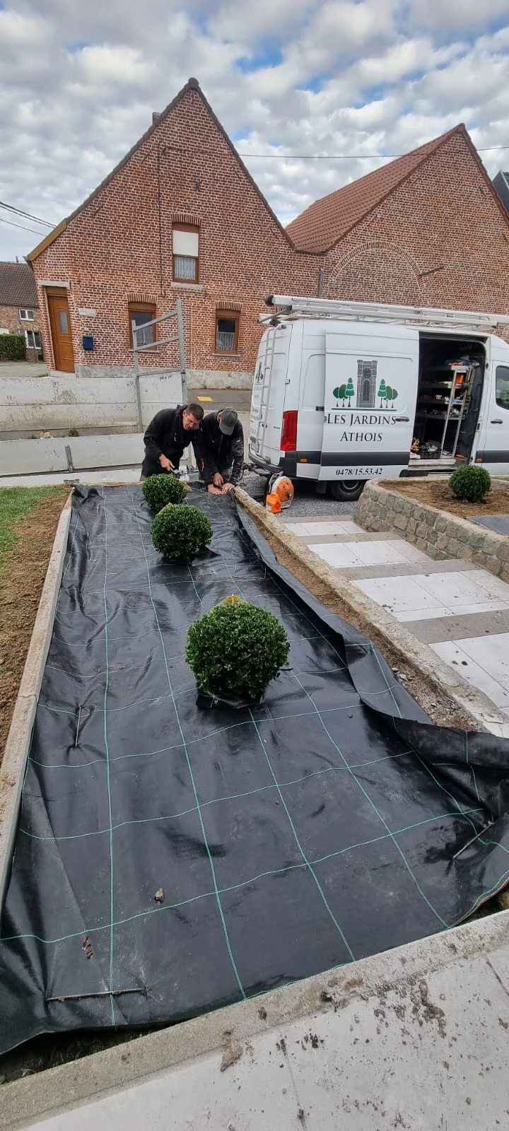 La mise en place des plantations en devanture pendant les travaux.